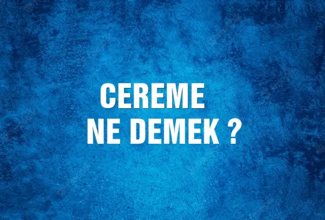 Cereme Ne Demek, Ne Anlama Gelir? Cereme Kelimesi TDK Sözlük Anlamı Nedir?