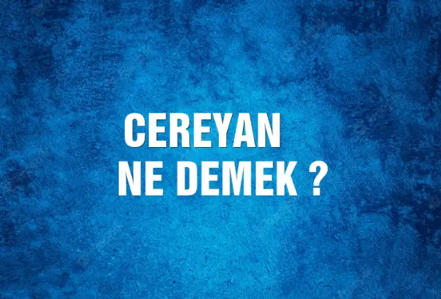 Cereyan Ne Demek, Ne Anlama Gelir? Cereyan Kelimesi TDK Sözlük Anlamı Nedir?