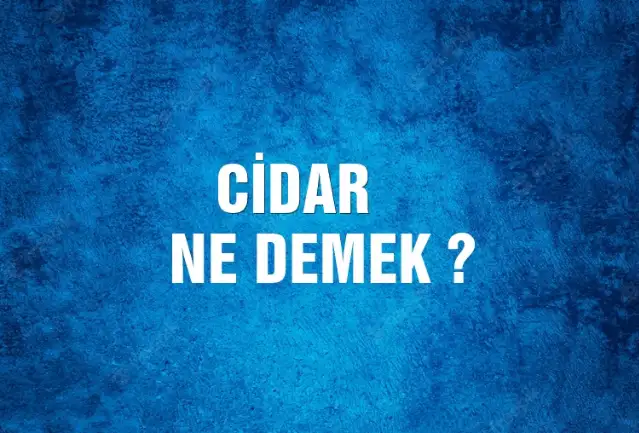 Cidar Ne Demek, Ne Anlama Gelir? Cidar Kelimesi TDK Sözlük Anlamı Nedir?