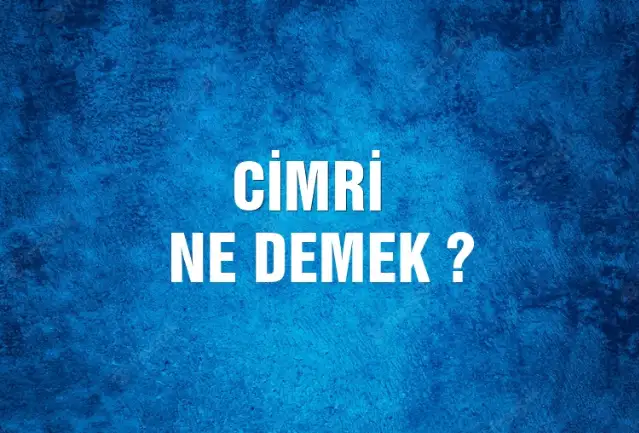 Cimri Ne Demek, Ne Anlama Gelir? Cimri Kelimesi TDK Sözlük Anlamı Nedir?