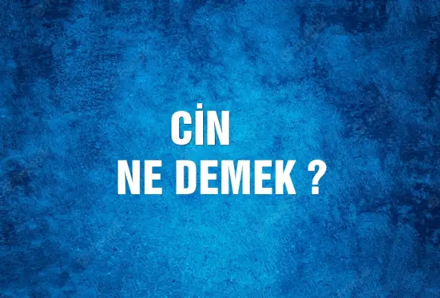 Cin Ne Demek, Ne Anlama Gelir? Cin Kelimesi TDK Sözlük Anlamı Nedir?