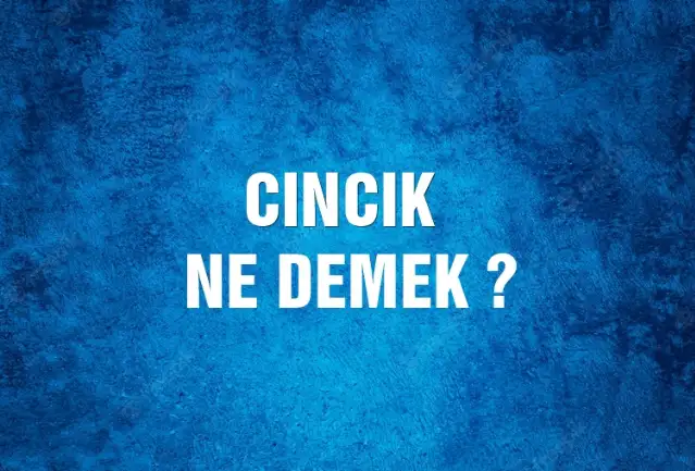 Cıncık Ne Demek, Ne Anlama Gelir? Cıncık Kelimesi TDK Sözlük Anlamı Nedir?