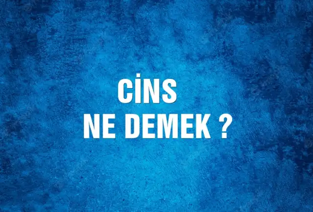 Cins Ne Demek, Ne Anlama Gelir? Cins Kelimesi TDK Sözlük Anlamı Nedir?