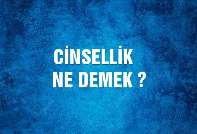 Cinsellik Ne Demek, Ne Anlama Gelir? Cinsellik Kelimesi TDK Sözlük Anlamı Nedir?