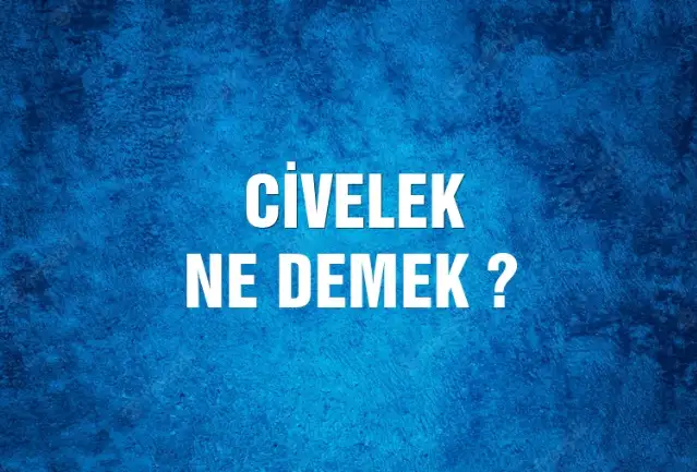 Civelek Ne Demek, Ne Anlama Gelir? Civelek Kelimesi TDK Sözlük Anlamı Nedir?