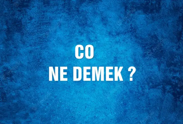 Co Ne Demek, Ne Anlama Gelir? Co Kelimesi TDK Sözlük Anlamı Nedir?