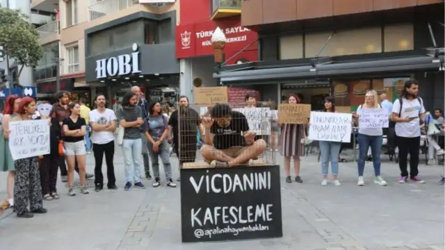 Hayvanlara yönelik şiddet neden arttı? Hayvan hakları savunucuları: Örgütlü bir nefret dili yaratılıyor