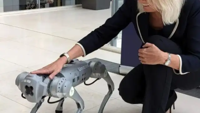 Hapishanelerde robot köpekler dönemi: Kaçışları engelleyecekler