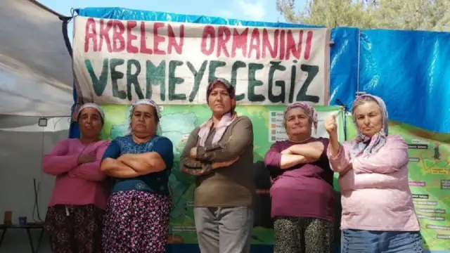 740 dönümlük alanda ağaçlar kesildi: Akbelen davası bugün görülüyor