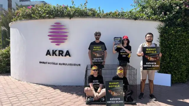 Dünyanın en etkili hayvan savunuculuğu örgütü Türkiye'den seçildi: Çiftlik Hayvanlarını Koruma Derneği