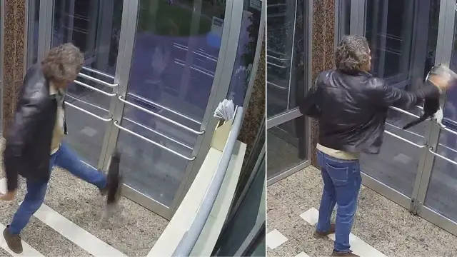 Hayvan düşmanı gözaltında: Zehirledi, şiddet uyguladı, karşı çıkanları taciz etti