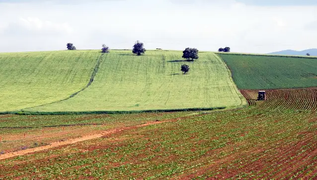 Deprem bölgesinde çiftçi ve üretimin geleceği de tehlikede