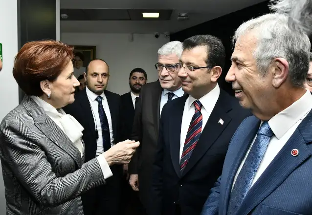İcracı cumhurbaşkanı yardımcısı ne demek?