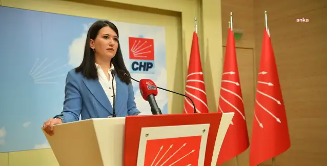 Gökçe Gökçen: Erdoğan’dan, bakanlarından ve partisinin yöneticilerinden Tom Barrack’ın hadsiz sözlerine hiçbir cevap yok
