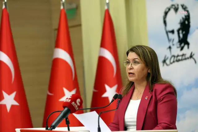 Gülizar Biçer Karaca: Kadınlar kimsenin siyasal gölgesi değildir