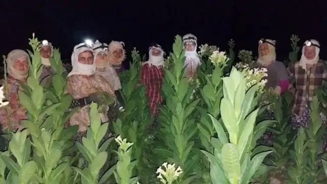 Çiftçi Sen: 17 Nisan Çiftçi Mücadele günü kutlu olsun