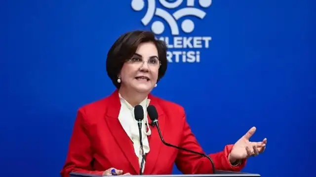 CHP'den ayrılarak Memleket Partisi'nin kurucuları arasına giren Prof. Dr. Gaye Usluer, CHP'ye geri döndü