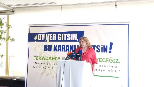 Aydın, yazar, siyasetçi ve sanatçılar: Tek adama geçit vermeyeceğiz