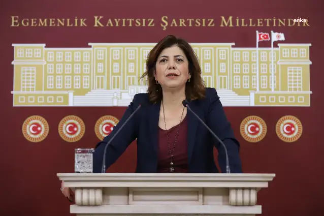 YSP'li Meral Danış Beştaş'ın yargılanması durduruldu