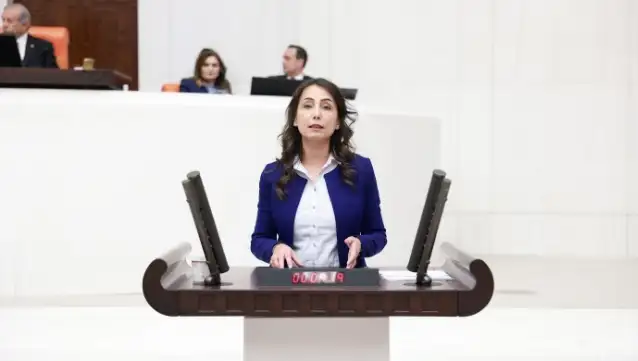 Yeşil Sol Parti'nin Meclis Başkan adayı Hatimoğulları oldu
