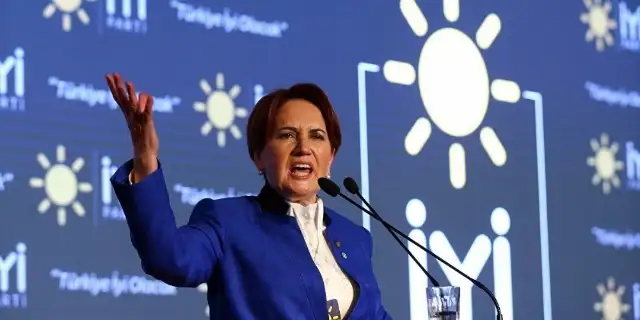 Right-wing Values Rebranded: A Case Study on IYI Party