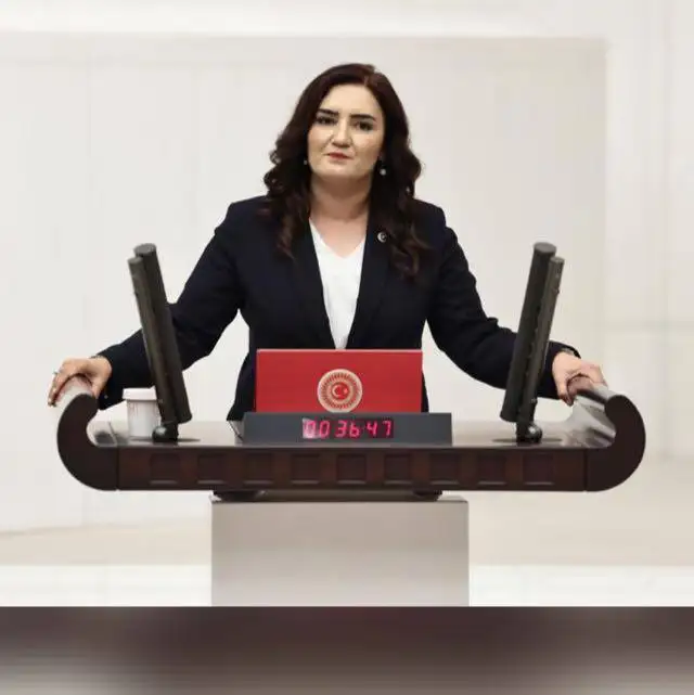 CHP'li Kılıç: "Parti her sorunu iç dinamikleri ve deneyimleriyle çözer"