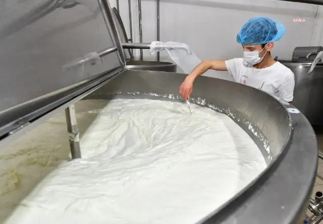 TÜİK'e göre içme sütü üretimi bir yılda yüzde 7,9 azaldı