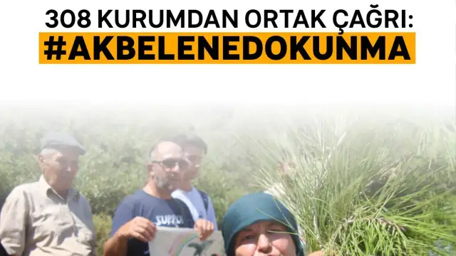 308 kurumdan ortak açıklama: Akbelen Ormanı’ndaki abluka kaldırılsın, kesim kararı durdurulsun!