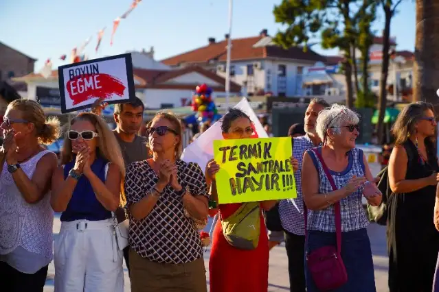 103 kuruluştan Akbelen için çağrı: "Bu çığlığa kulak verin"