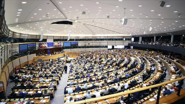 Avrupa Parlamentosu, Gürcistan'da seçimlerin yenilenmesi için çağrı yaptı