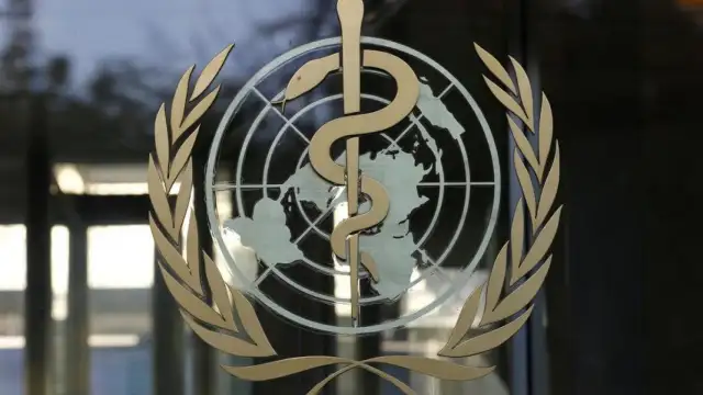 DSÖ uyardı: Güvenli olmayan gıda her yıl milyonlarca kişiyi hasta ediyor