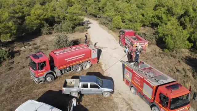 Manisa'da orman yangını çıkma riski artacak! 