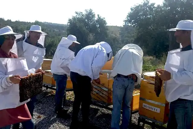 Arıcılara mesleki standart geliyor