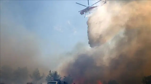 Yunanistan'da hafta sonu çıkan yangınlarda 40 bin dönümün üzerinde alan yandı