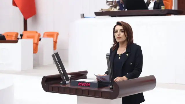 Gülcan Kış'tan Bakan Şimşek'e tepki: "Dalga geçer gibi cevap verdi"