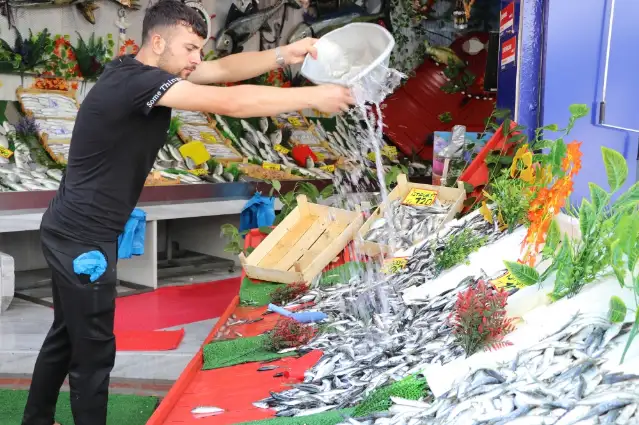 TÜİK: Su ürünleri üretimi 2024'te yüzde 7,6 azaldı