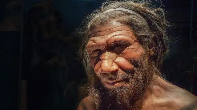 İspanya'da 50 bin yıldan eski Neandertal kalıntıları bulundu