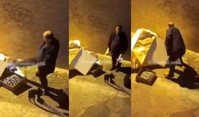Dondurucu soğukta kedilerin evini yıktı