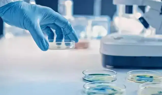 Sadece erkekleri öldüren yeni virüs keşfedildi