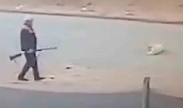 Sahipsiz köpeği av tüfeğiyle öldürdü
