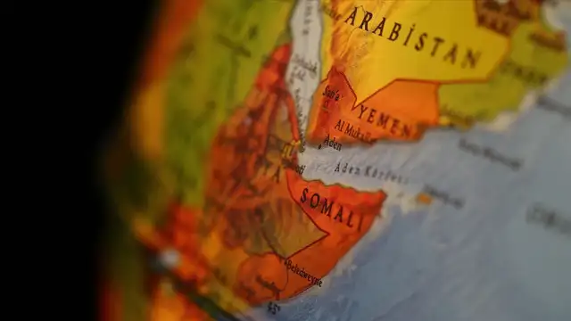 Mısır, Somali, Cibuti ve KİK'ten İsrail'in Somaliland kararına tepki