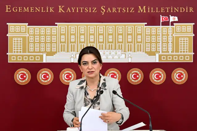 Koçyiğit: İnsanlar katliam olmasın, çocuklar ölmesin, kuşatma kalksın diye sokaklara çıktı, bunun neresi suç?