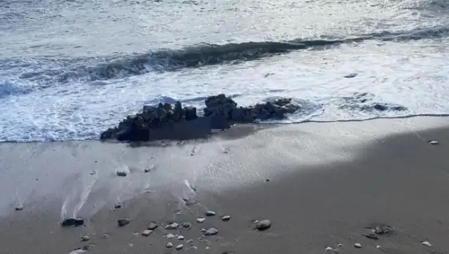 Muğla sahilinde bir kadına ait cansız beden bulundu