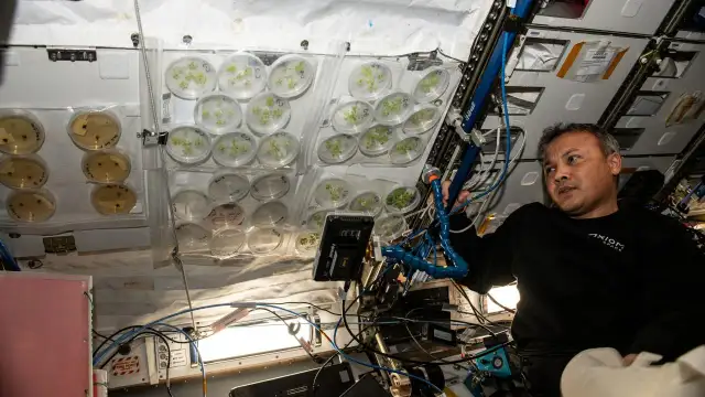 Astronot Gezeravcı: "Bitki deneyleri, dünyanın güzelliklerini anlamamıza yardımcı oluyor"
