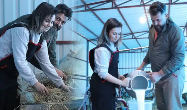 Beyaz yakalıların en büyük hayalini gerçekleştirdiler!