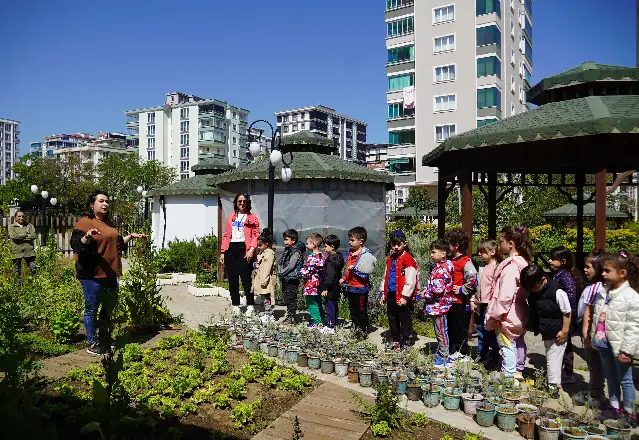 Karadeniz'in ilki Ata tohumlar, Atakum’dan geleceğe taşınıyor