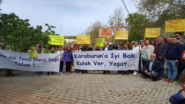 Mahkeme yürütmeyi durdurma karar verene kadar 5 bin zeytin ağacı kesildi