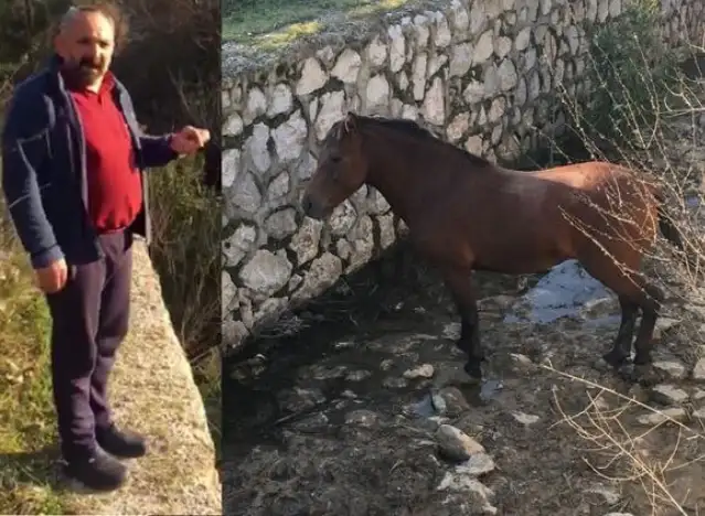 3 gündür kurtarılmayı bekliyor: "Yılkı atını ölüme terk etmişler"
