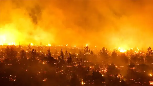 2025 yılında 3 binden fazla orman yangını meydana geldi