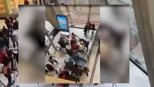 Fransa Kürt aktivisti Türkiye’ye iade etti, havaalanında olay çıktı